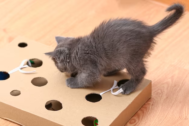 Brinquedos Caseiros para Gatos