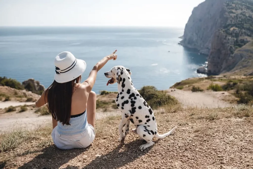 Viagem com cachorro ao ar livre